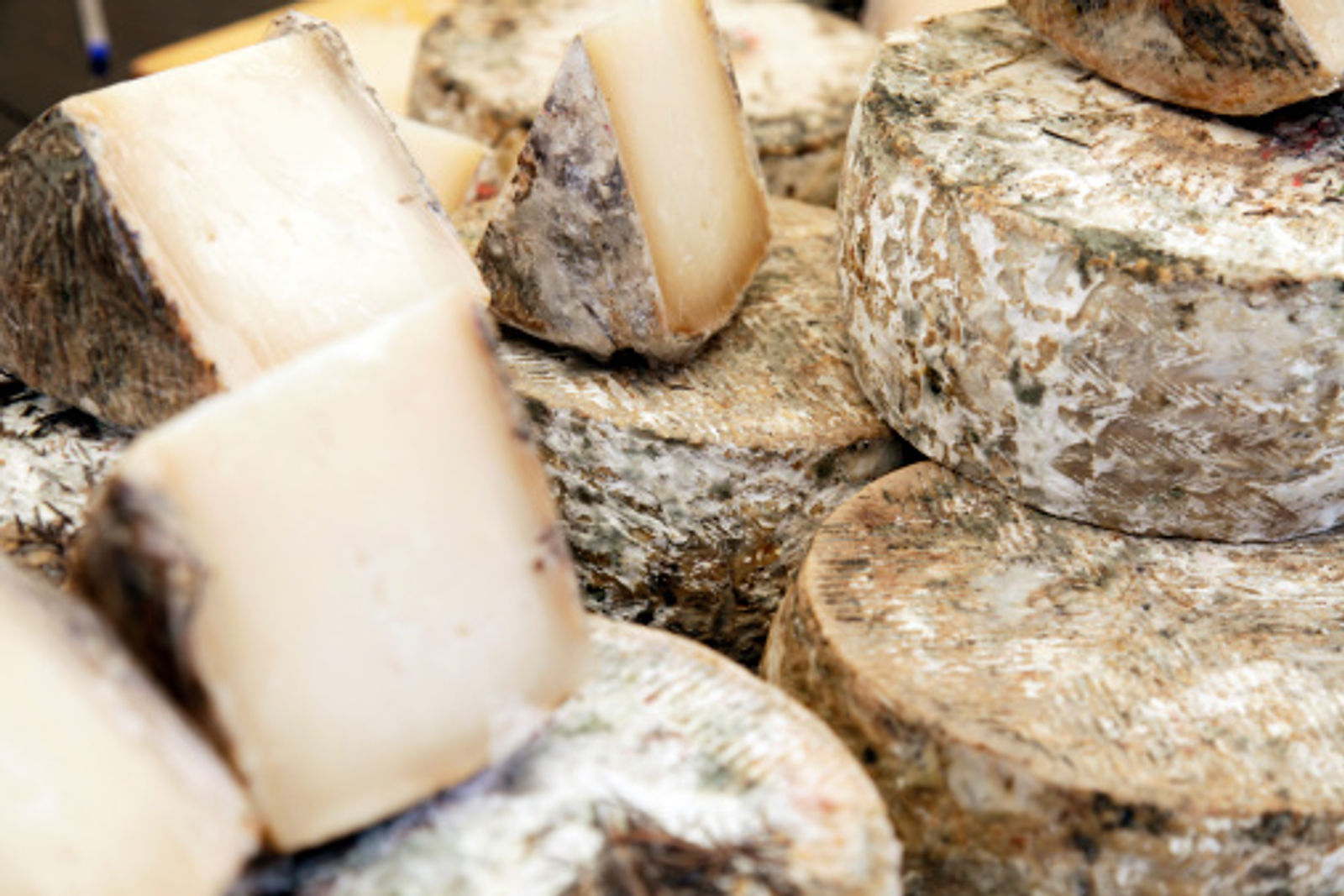 tomme fraiche